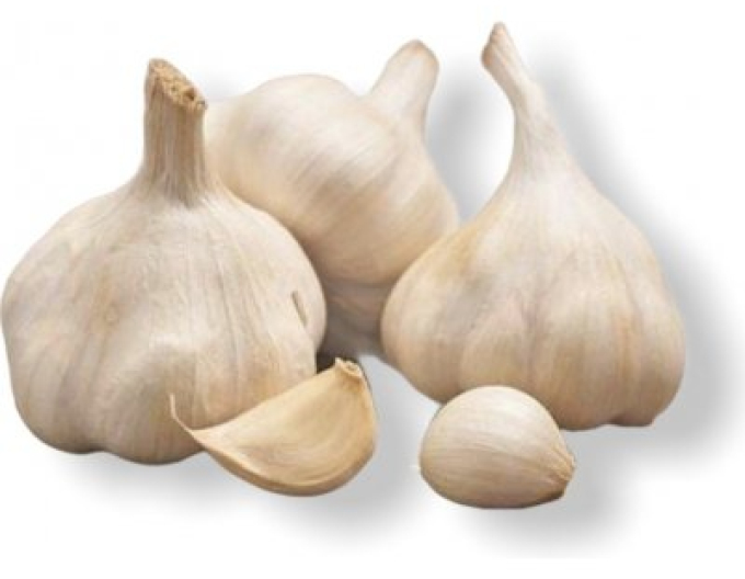 Răsaduri de usturoi de toamnă ´MOJMÍR´ 500g