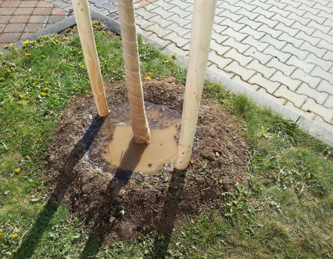 țăruș de sprijin cu țepușă cu diametrul de 6 cm - înălțime 250 cm