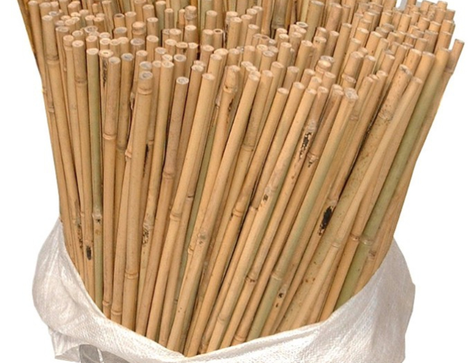 Stâlp de bambus 180cm 16/18