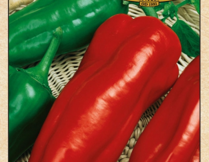 Semenárstvo Paprika anual ´Dulce De Espana´ (Dulce spaniol)
