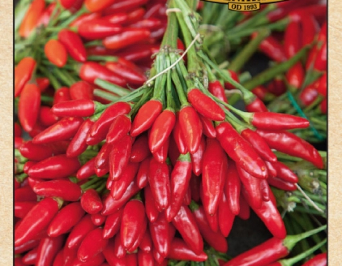 Seed Farm Paprika ´Chilli Bird´s Eye