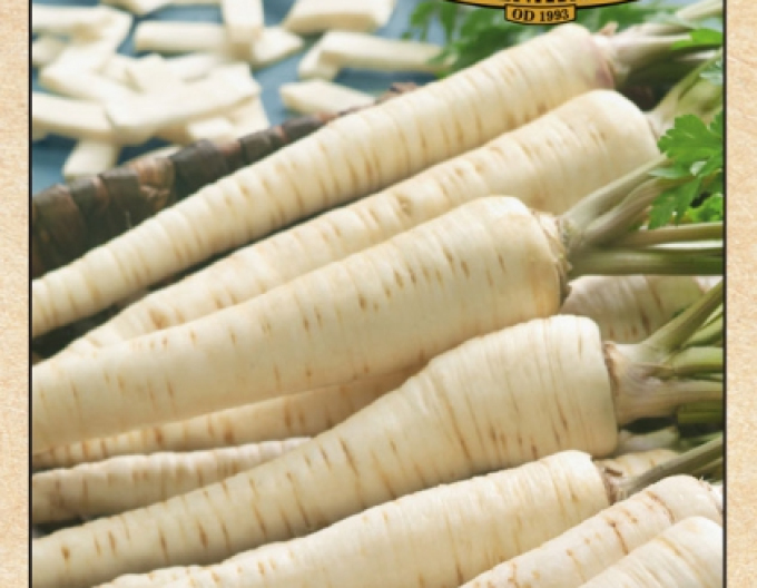 Pătrunjel - grădină - cu rădăcini ´Olomoucká Dlouhá´