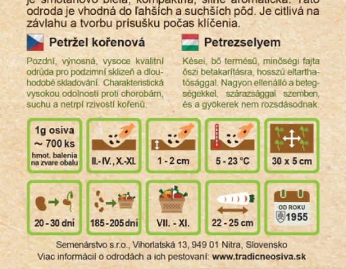 Pătrunjel - grădină - cu rădăcini ´Olomoucká Dlouhá´