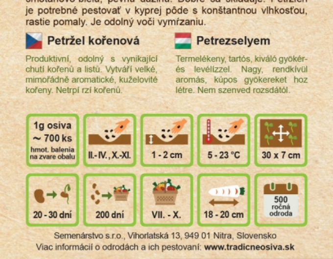 Pătrunjel de grădină - rădăcină de pătrunjel "Berliner