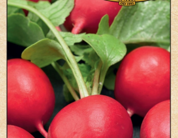 Radish Seed Farm ´Burro Gigante´