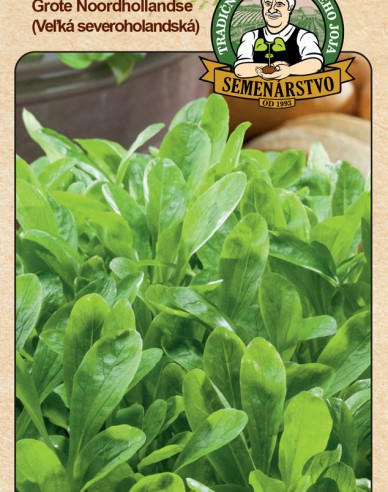 Valeriana de câmp ´Grote Noordholladse´