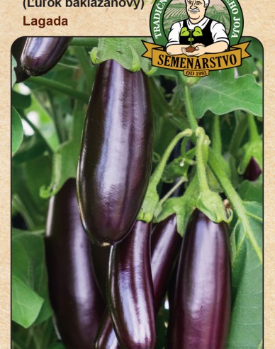 Vinete (bulb de vinete) ´Lagada´