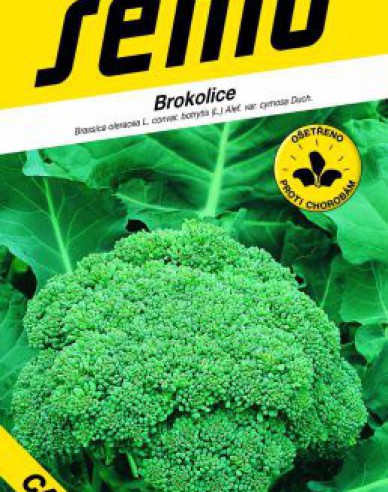Semo Broccoli ´Calabresse´