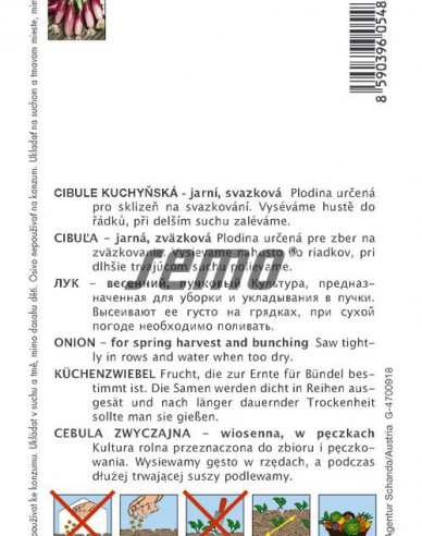 Semo Ceapă ´Rossa di Firenze´