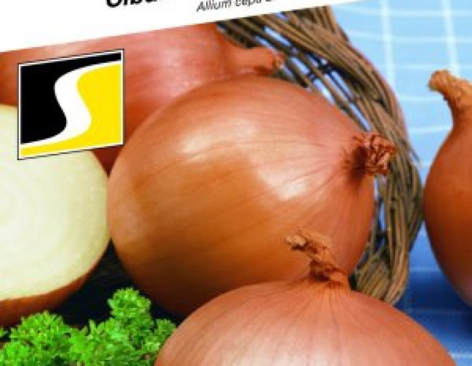 Semințe Ceapă de primăvară Claria