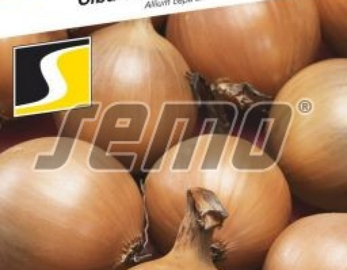 Semințe de ceapă de primăvară ´Wellina´
