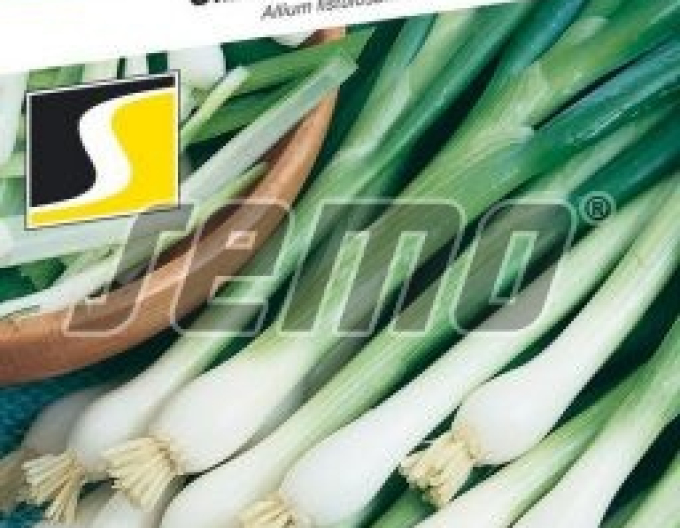 Semo Ceapă de iarnă ´Gerda´