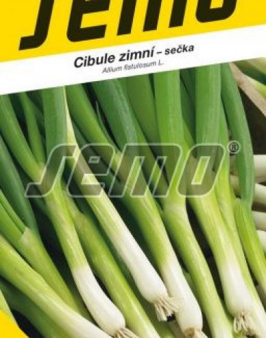 Semo Ceapă de iarnă "Kaj