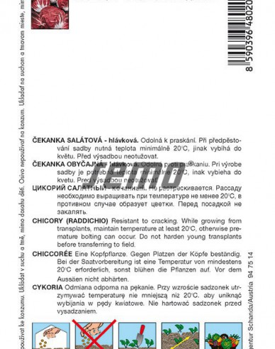 Semo Cicoare - salată ´Palla Rossa 3´