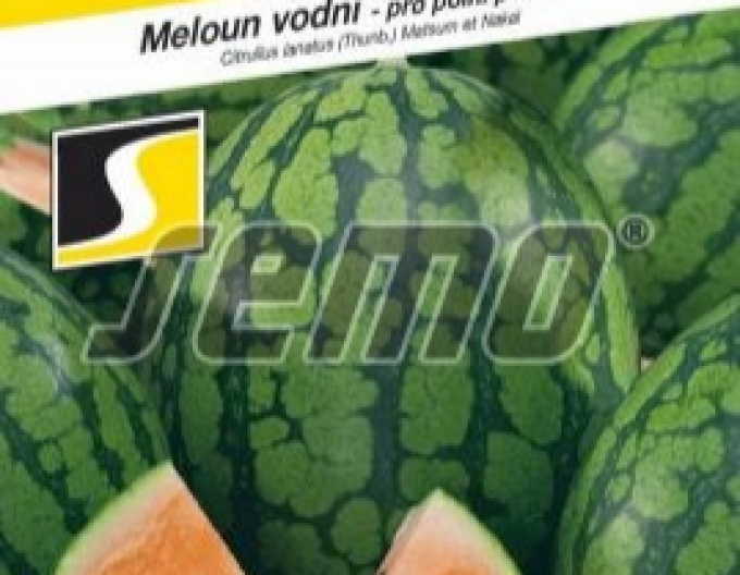 Semințe Dovleac portocaliu ´Primaorange F1 ´