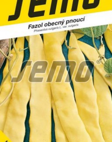 Semo Fasole cățărătoare ´Meraviglia Di Venezia´