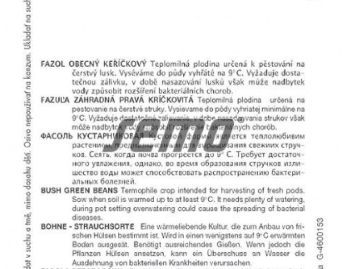 Fasole din grădina de semințe Purple Queen