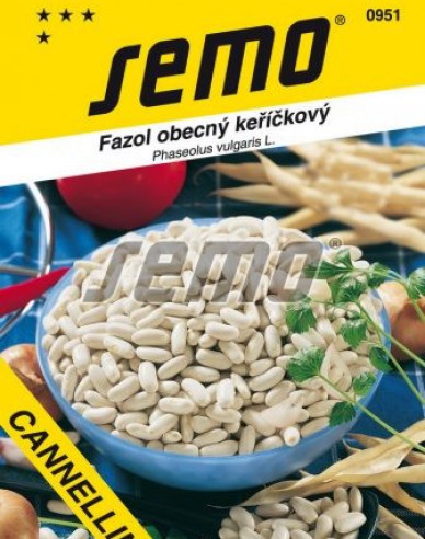Semo Fasole pitică ´Cannellino´