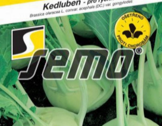 Semo Kaleráb ´Dvorana´