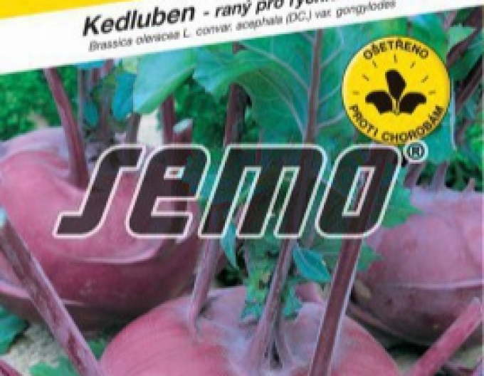 Kaleraba seed ´Blankyt´