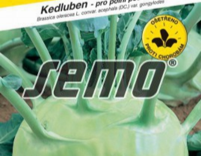 Kaleráb seed ´Kossak F1´