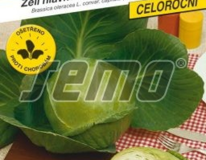 Semințe de salată ´Minica F1´