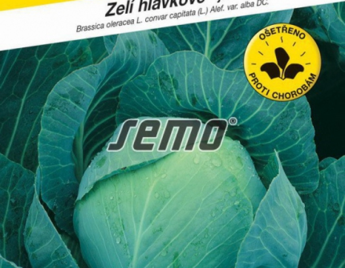 Varză cu semințe ´Zora´