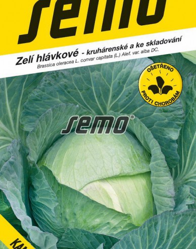Semo Varză albă Kamienna Glowa