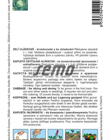Semo Varză albă Kamienna Glowa