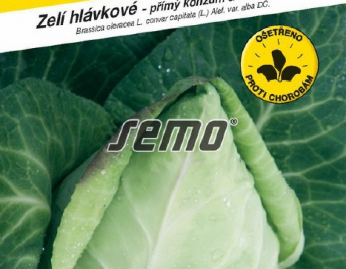 Varză cu semințe ´Murdoc F1´