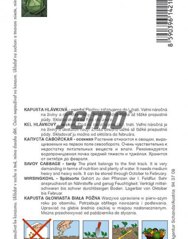 Semo Varză creață ´Vertus 2´