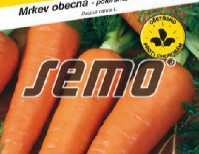 Semințe de morcov ´Fire Wedge F1´