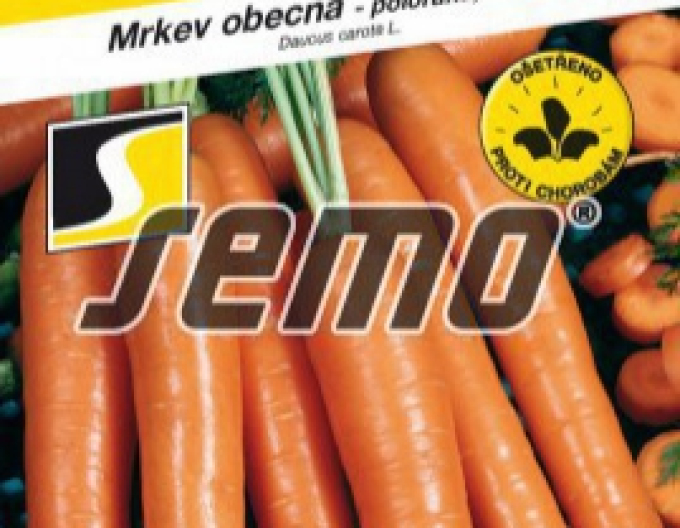 Semințe de morcov Anina