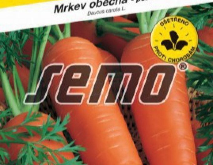 Semo Semințe de morcov ´Berlikumer 2´