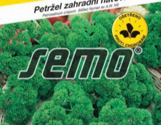 Semințe Pătrunjel spanac de grădină "Curly