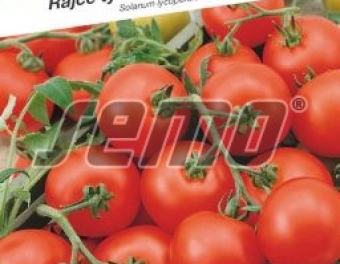 Semințe Tomate Stupiferous field early