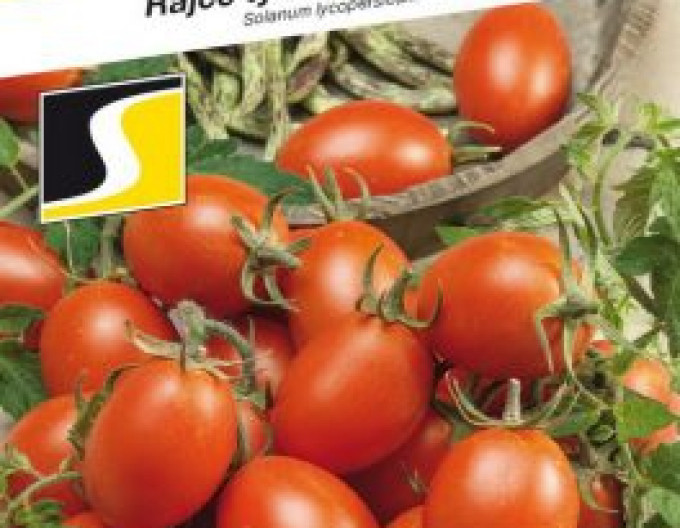 Semințe de tomate Blumko