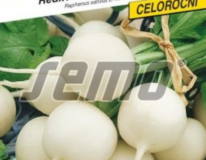 Semințe Ridiche albă ´Belana F1´