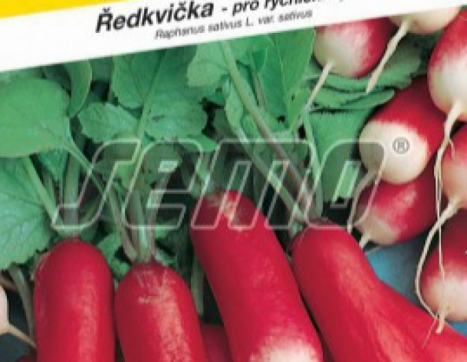 Semințe Ridiche roșie ´Slavia´
