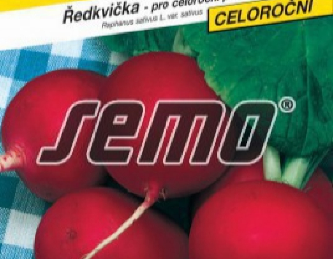 Semințe de ridichi roșii ´Tercia´