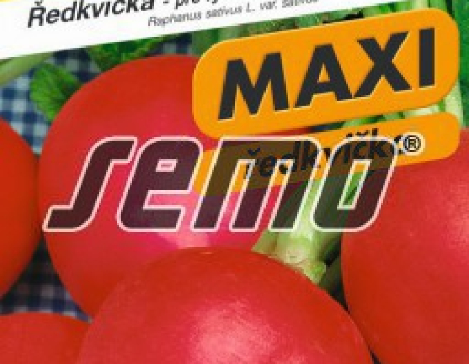 Semințe de ridiche roșie ´Vinara F1´