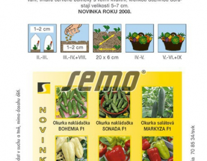 Semințe de ridiche roșie ´Vinara F1´