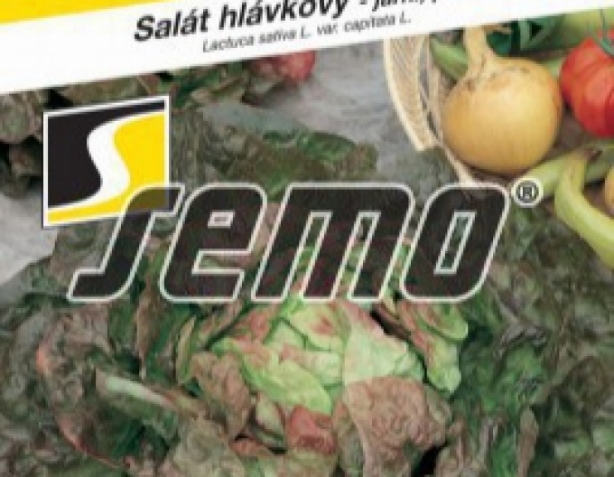 Semințe Salată verde `Cervil