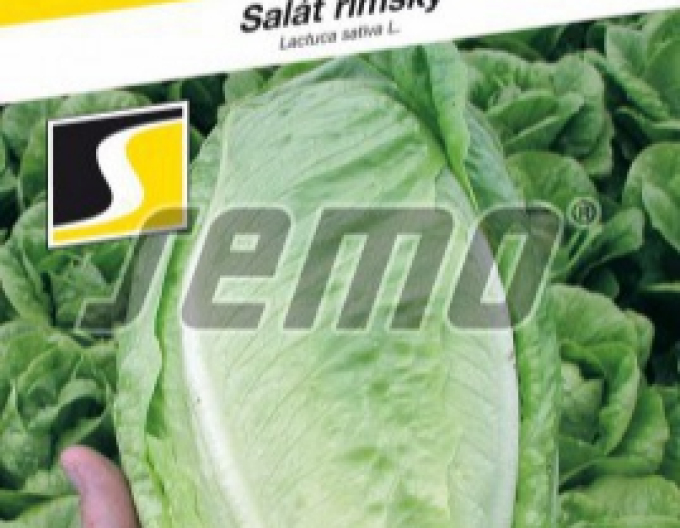 Semo salată Romaine ´Gelbus´