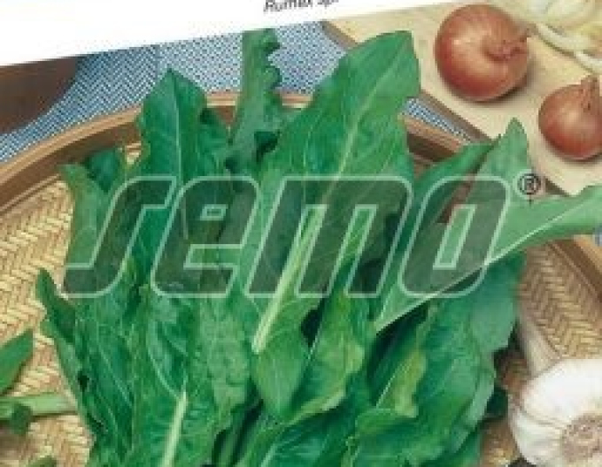 Semințe de grădină pentru salate