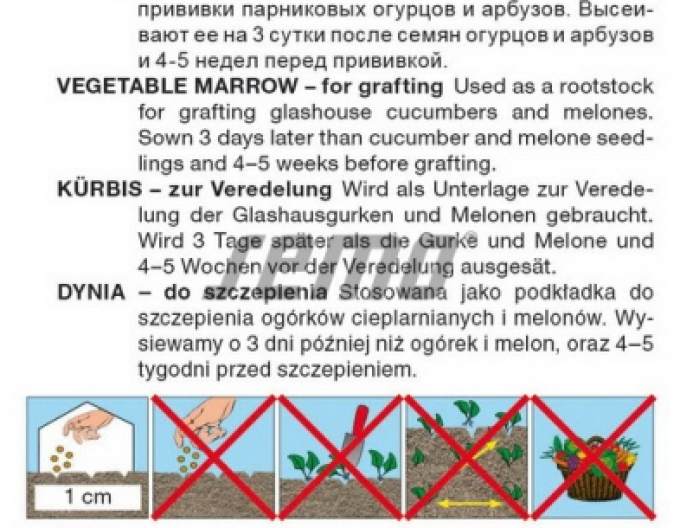 Sămânță de dovleac pentru altoire ´Sprinter F1´