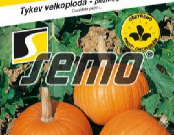 Dovleac cu semințe ´Yellowgirls F1´