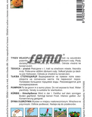 Semo Dovleac gigant ´Gran Gigante´