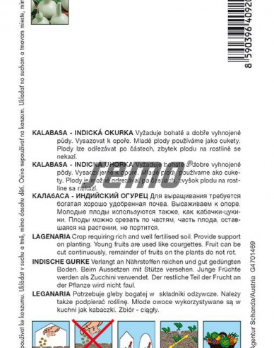 Semo Dovleac (Kalabasa) ´Birdhouse Bottle´