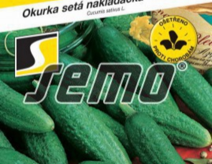 Castravete de semințe Fatima F1´